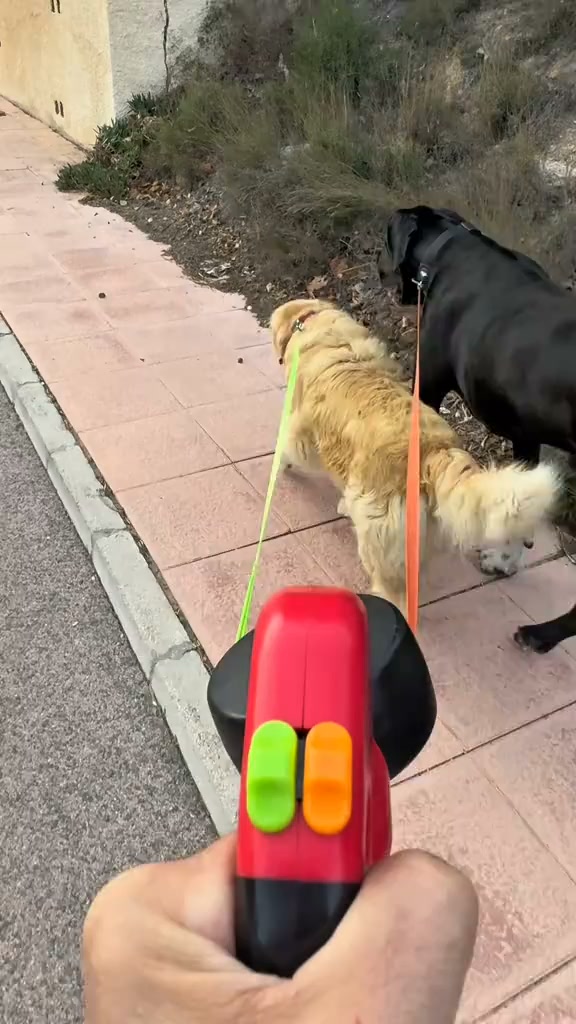 Walk Two Pets with One Leash!