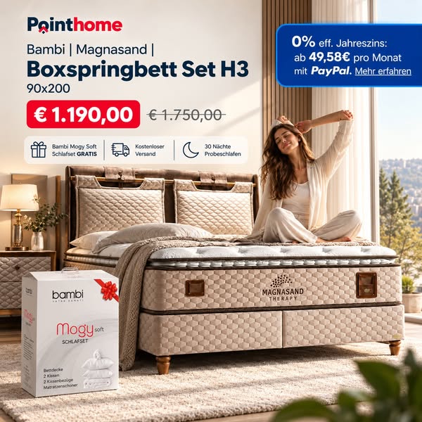 Magnasand jetzt für nur 1.190 € sichern