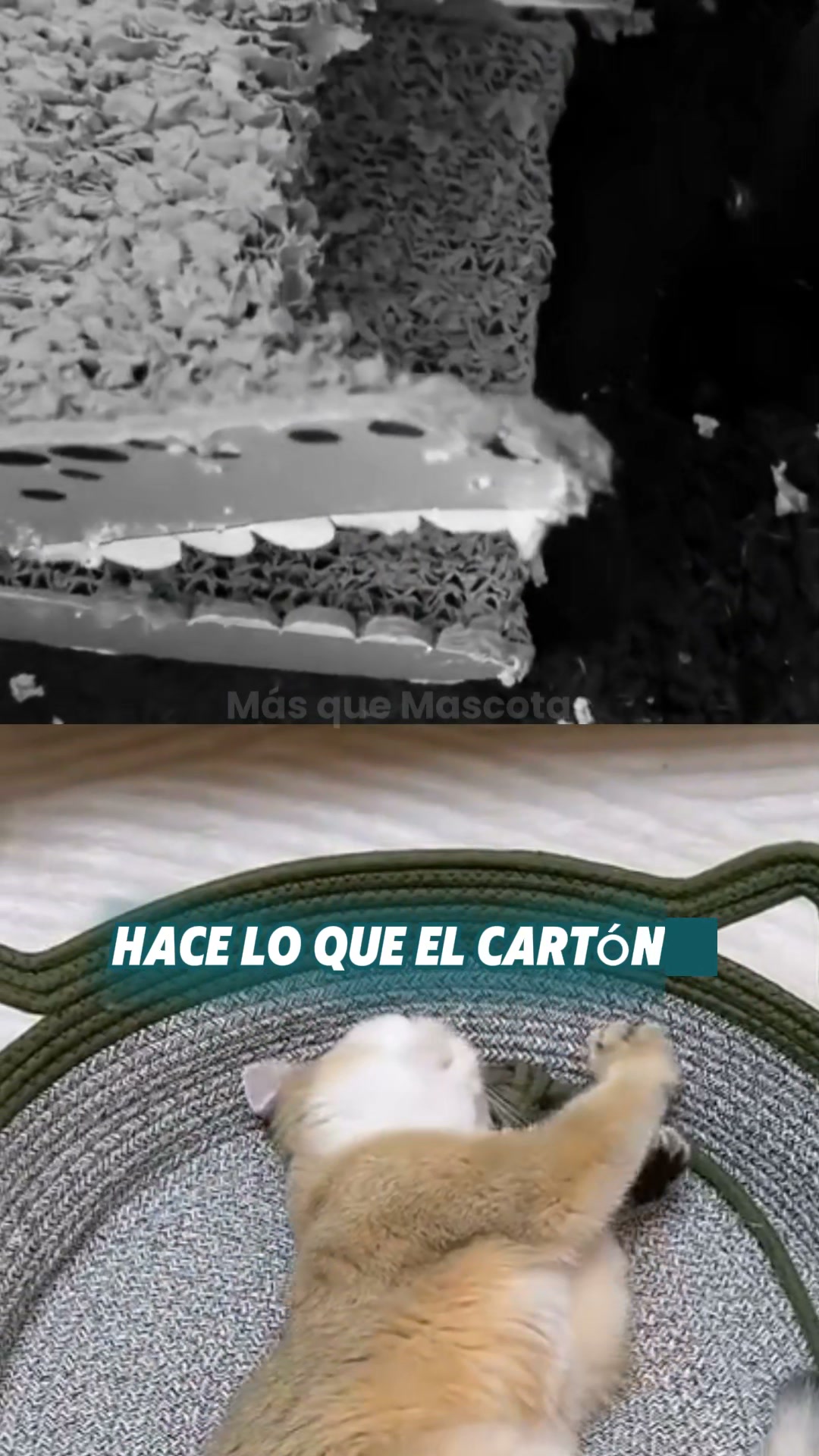 +15.000 vendidas en 2026
