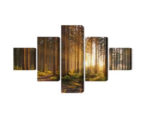 Ljuddämpande tavla - Sunset in the forest (150x90cm Polyester)