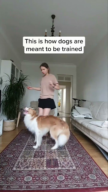 Get the revolutionary dog training book!