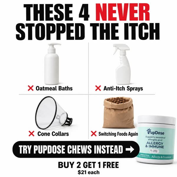 Buy 2 Get 1 Free — $21 Each