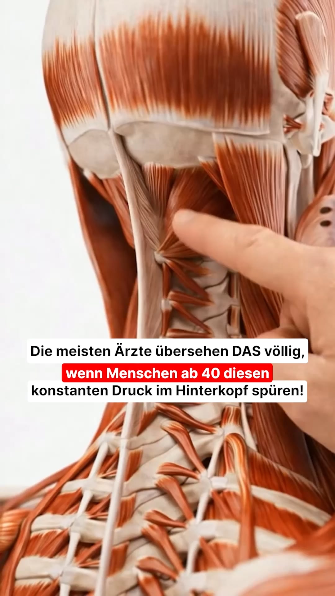 Endlich beschwerdefrei