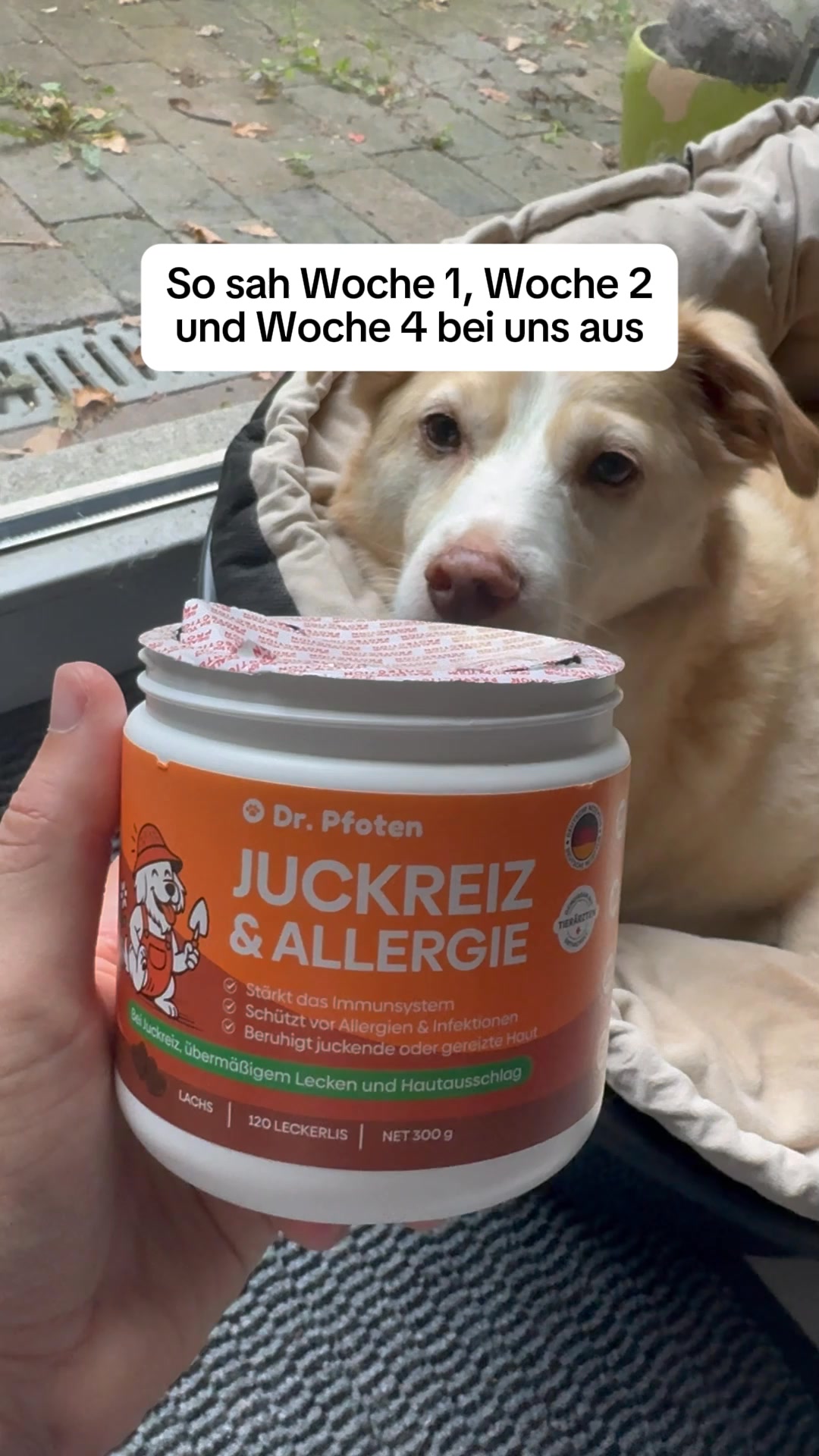 Nach 30 Tagen kratzt dein Hund weniger. Natürlich. Ohne Chemie.