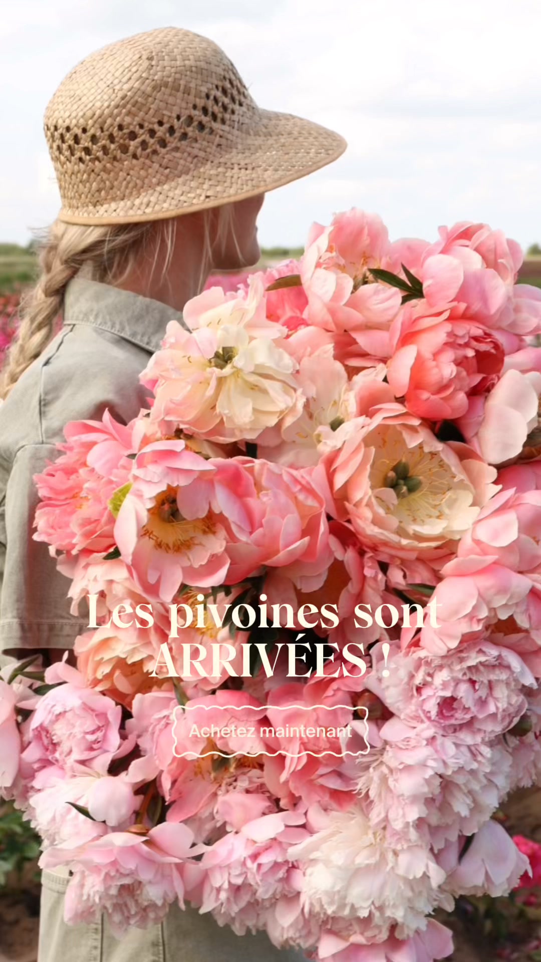 Les pivoines sont arrivées !