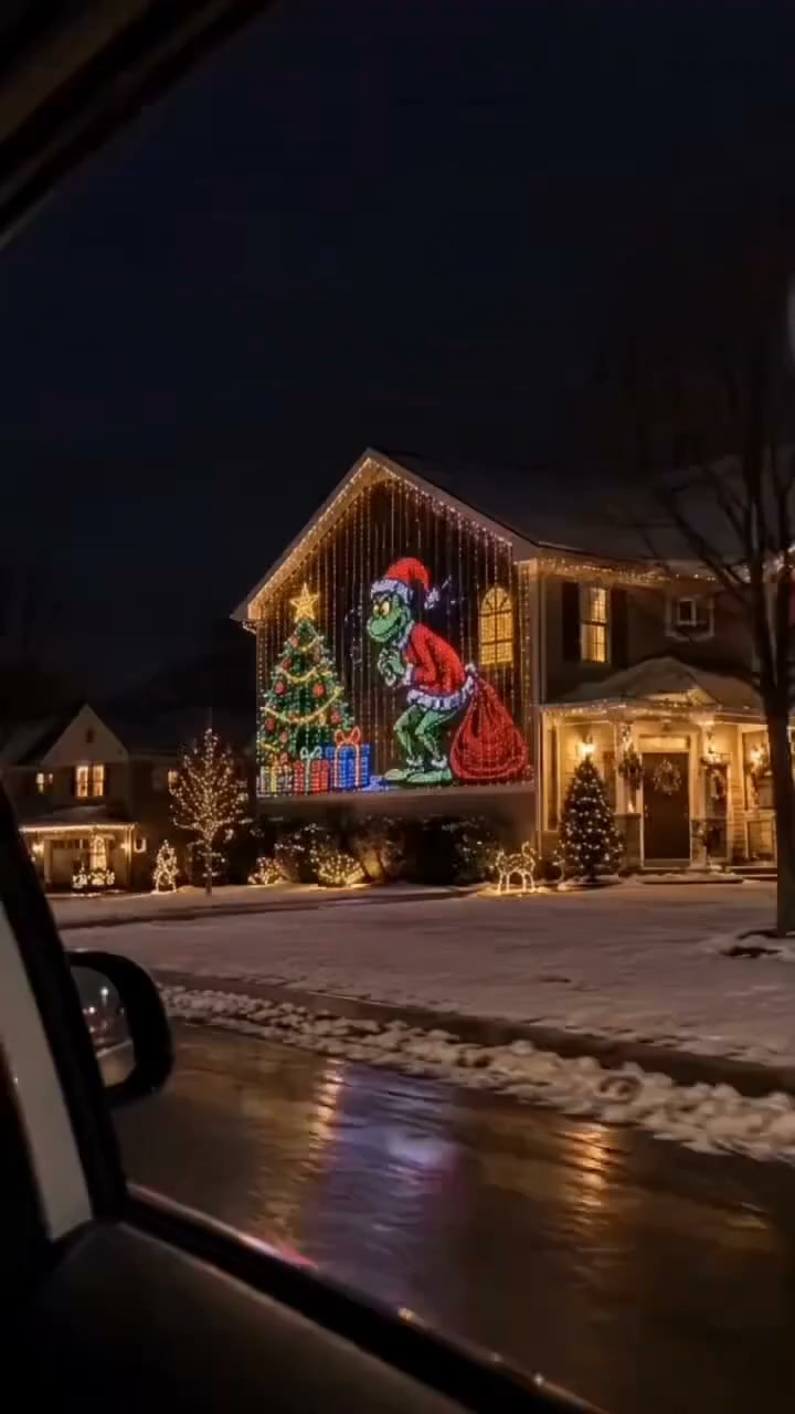Christmas LED House Net & Smart Outdoor Wall Curtain Light