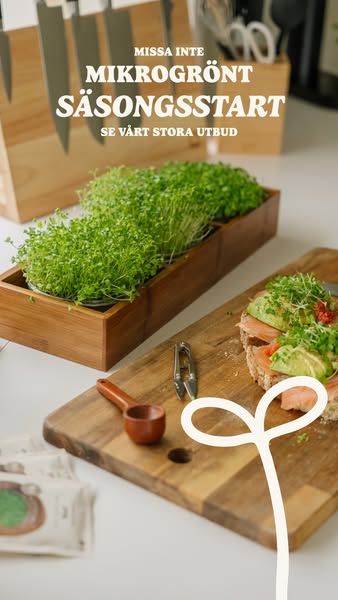 Microgreens-säsongen är igång!