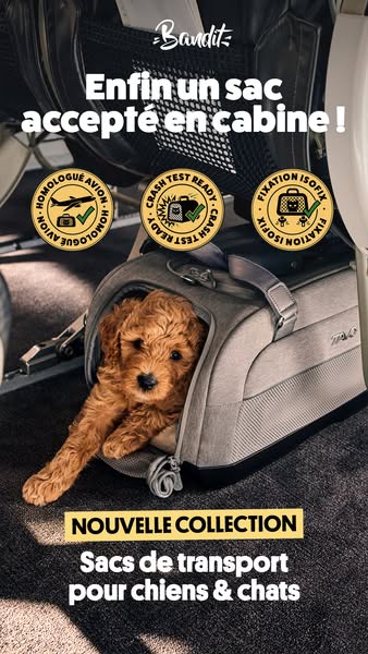 Dupree : siège auto et sac cabine