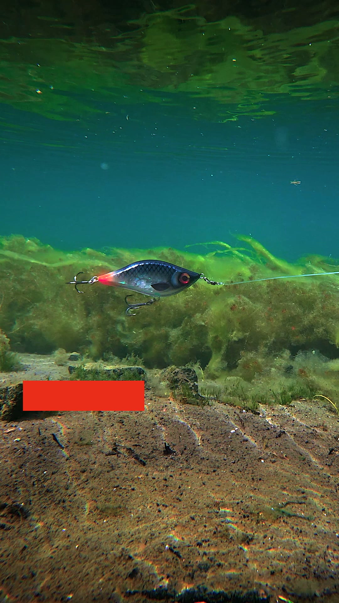 Bedst sælgende fiskegrej til gedde