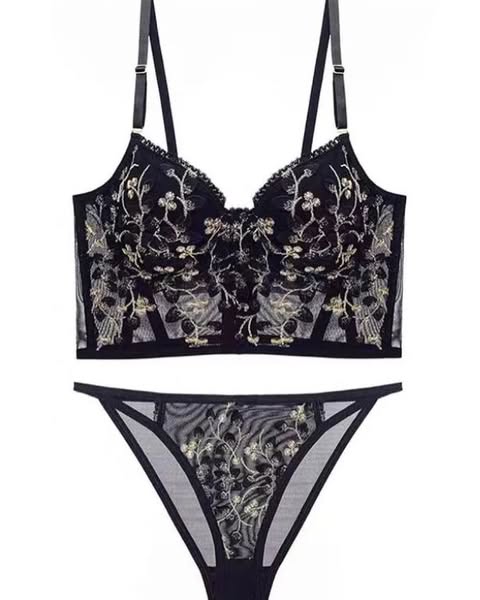 Embroidered Lace and Steel Bone Overlay French Lingerie Bra Set