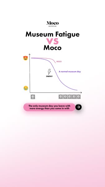 See what's inside Moco