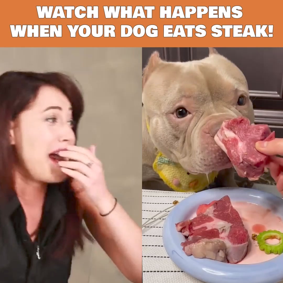 Beef vs Steak - is there even a difference?