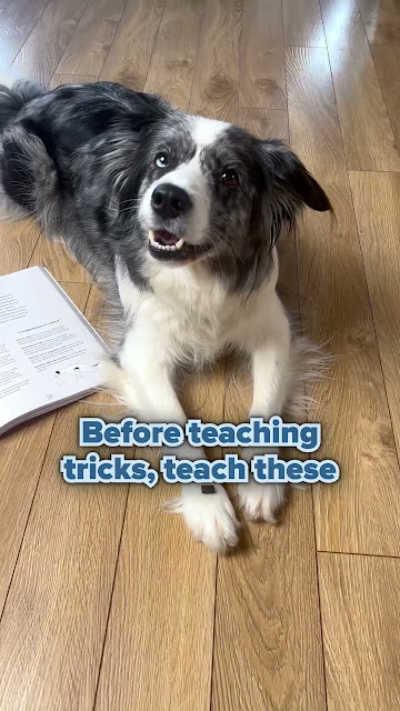 Get the revolutionary dog training book!