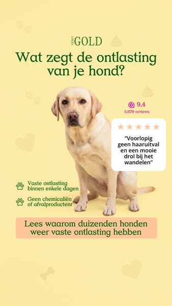 Heeft mijn hond een gezonde ontlasting?