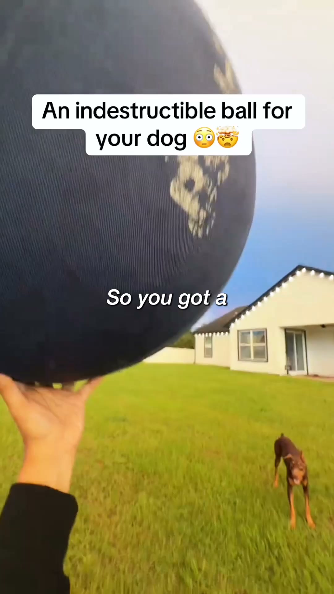 The Ball That Finally Gets Them To Settle