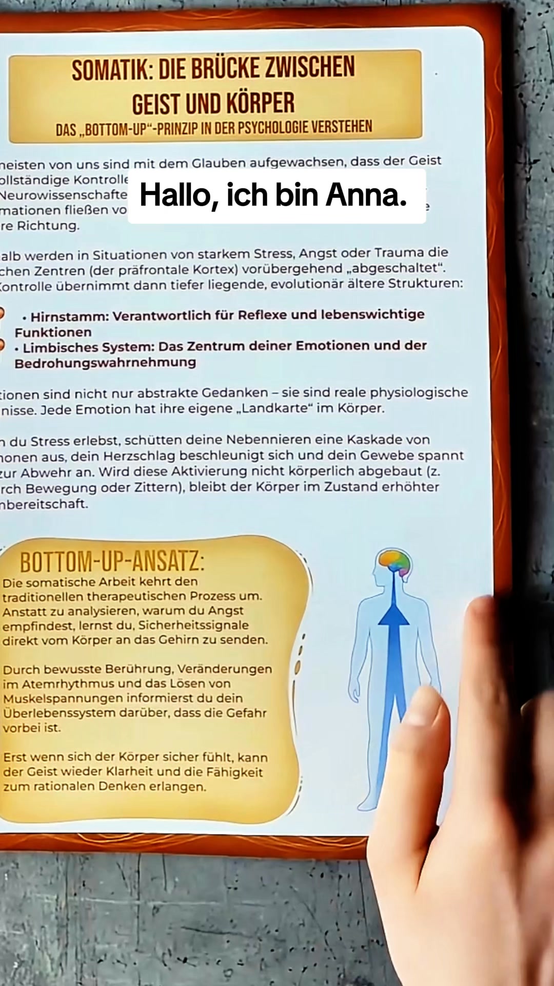 Arbeitsbuch für Somatische Therapie