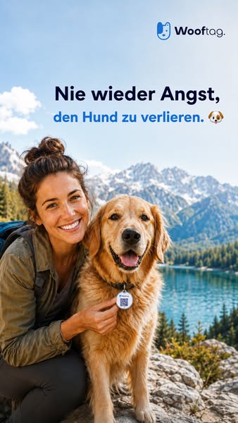 Urlaub mit Hund? Das MUSS mit!