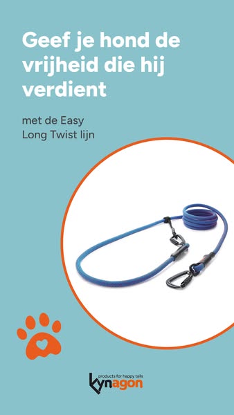 Bestel hem nu hier!