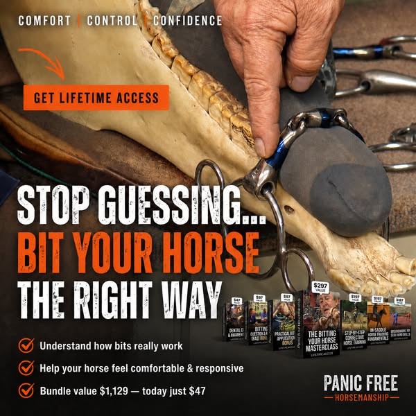 Stop Guessing With Your Horse’s Bit