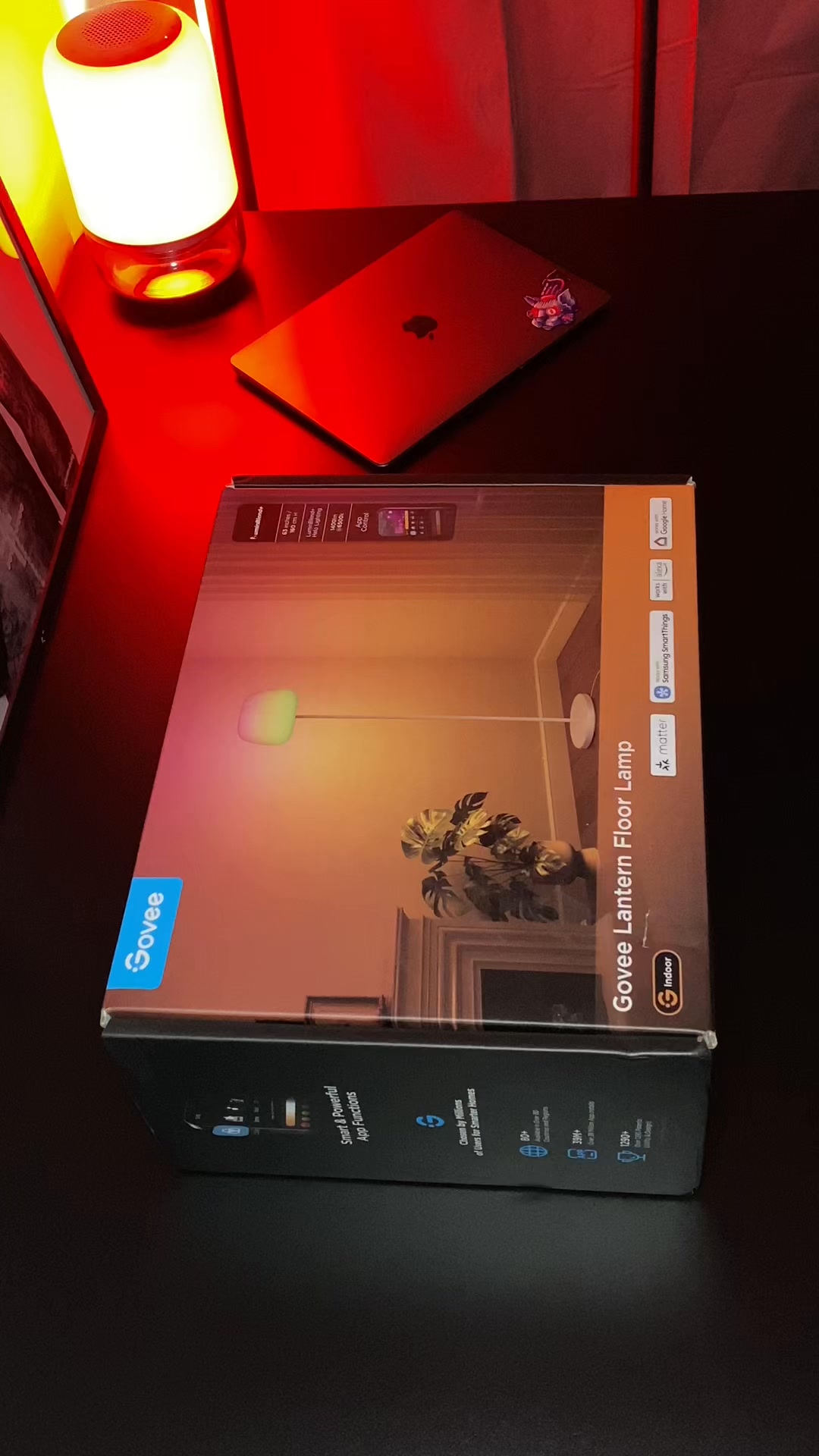 Govee Lantern Floor Lamp