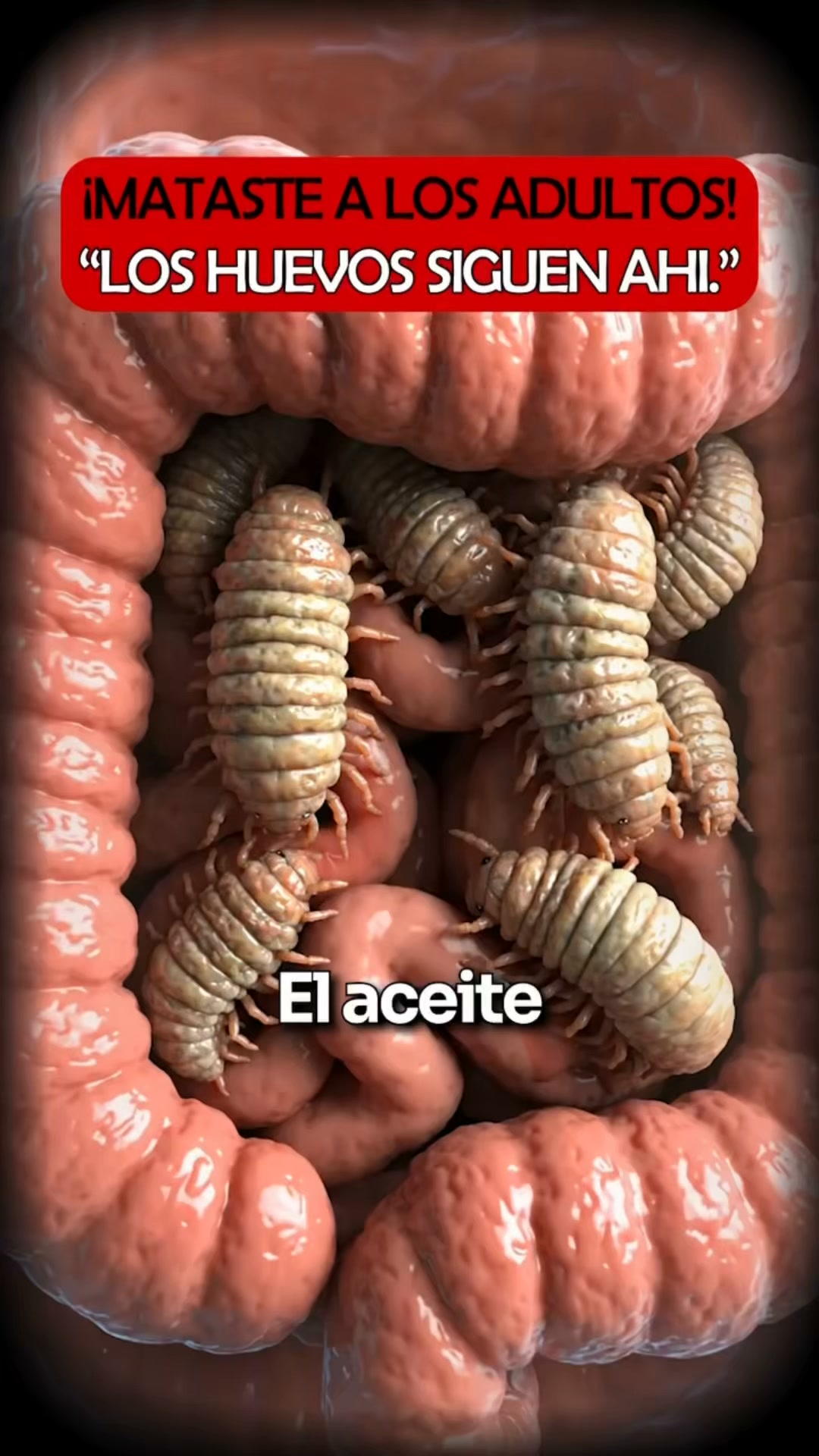 Anúncio de Vitacarga