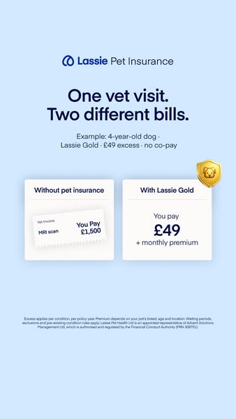 Insure your pet today