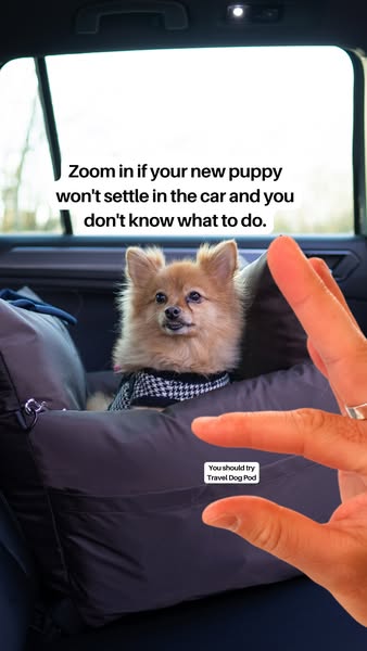 Travel Dog Pod (Now with ISOFIX)
