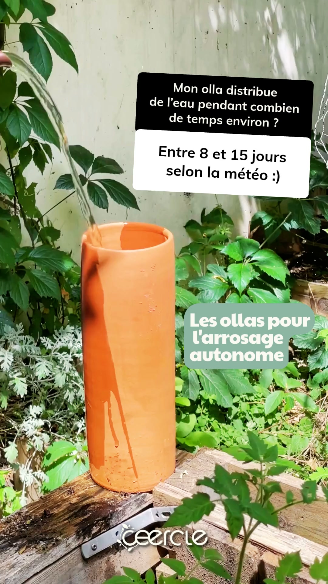 Vos plantes, enfin autonomes