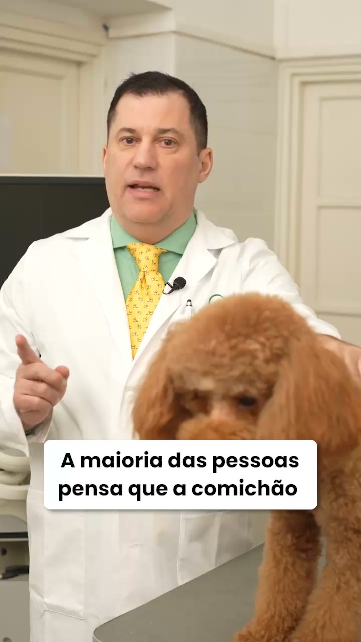 Probióticos SciPet para Cães
