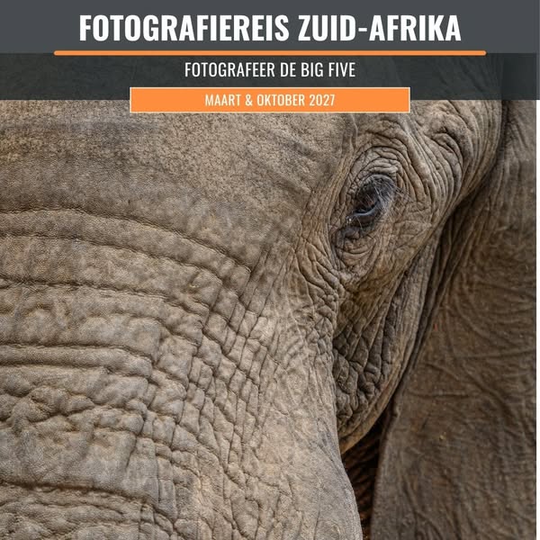 De Big Five fotograferen in een privéreservaat zonder drukte