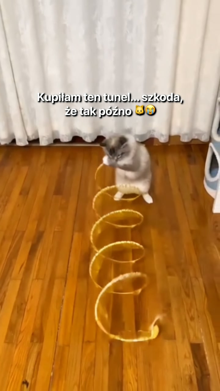 #1 Koci Tunel