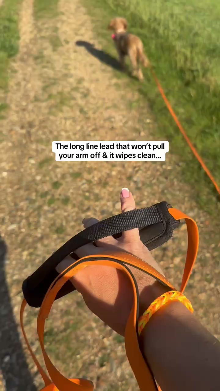 Long Line Training Leads