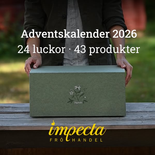 Fröer | Impecta fröhandel | Snabb leverans | Högsta kvalitet | Impecta