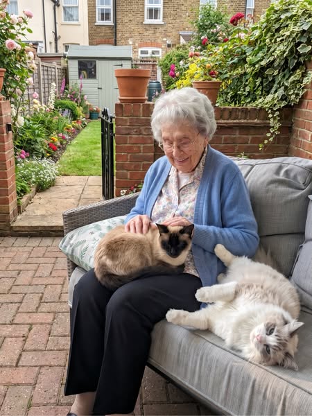 Your Cat Will Live To 20. Read…