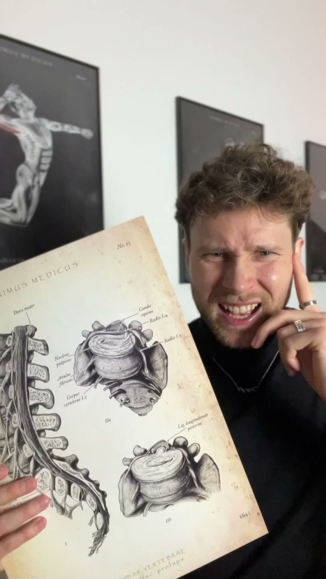 7 Anatomie-Poster für Ihre Praxis