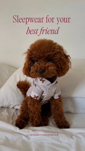 Matching pajamas for you & your pup
