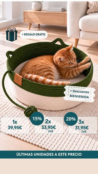 60 días sin riesgo de aprobación felina
