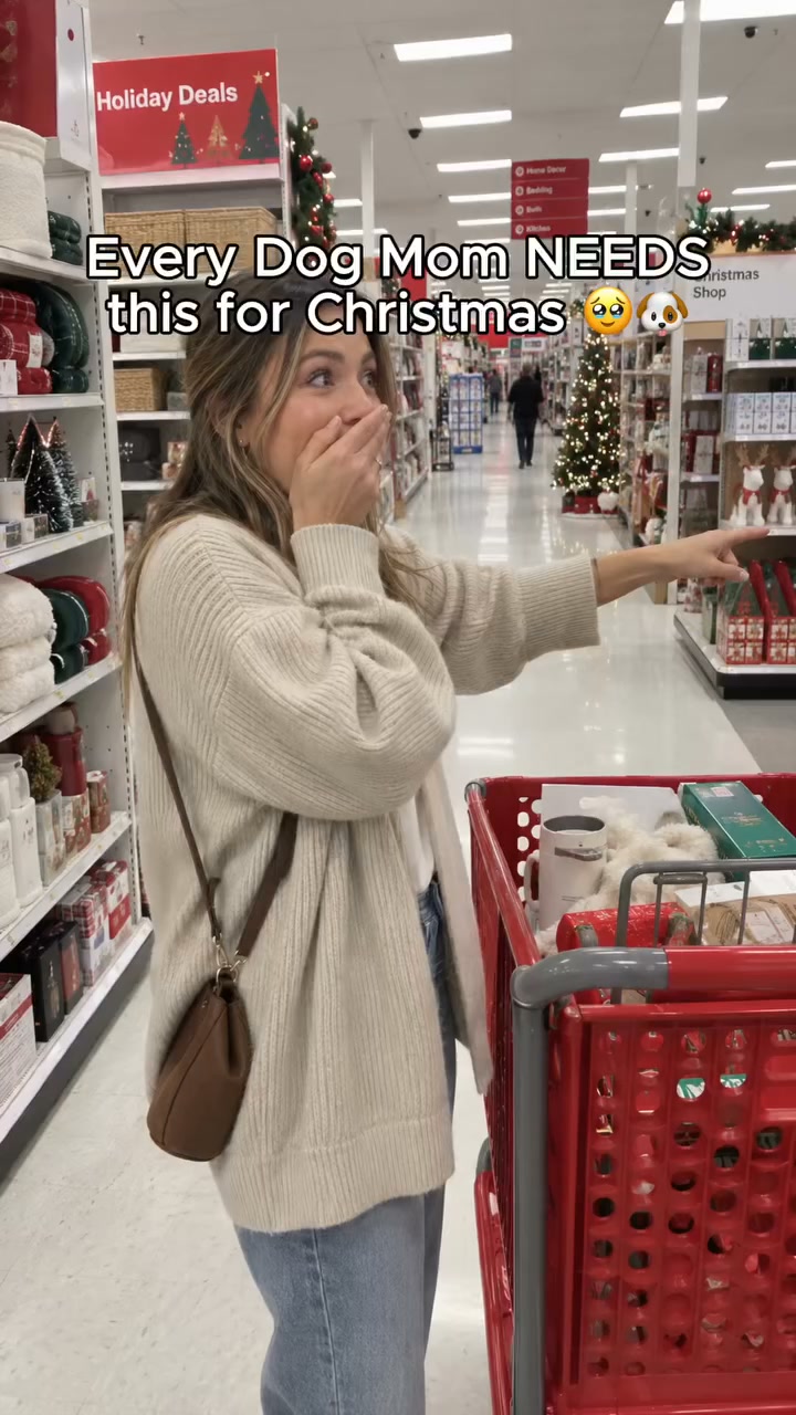 The Cutest Christmas Gift For Your Dog