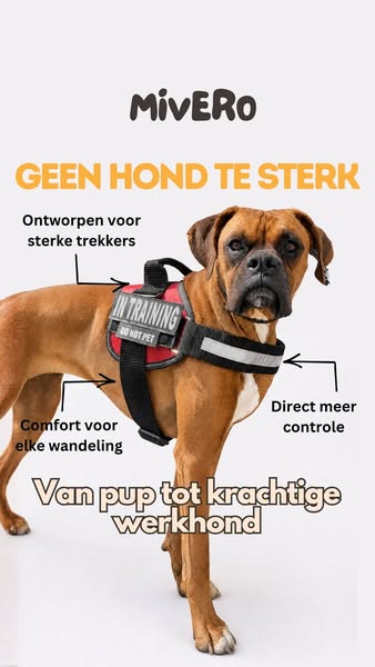 Voor 23:00 besteld, zelfde dag verzonden.