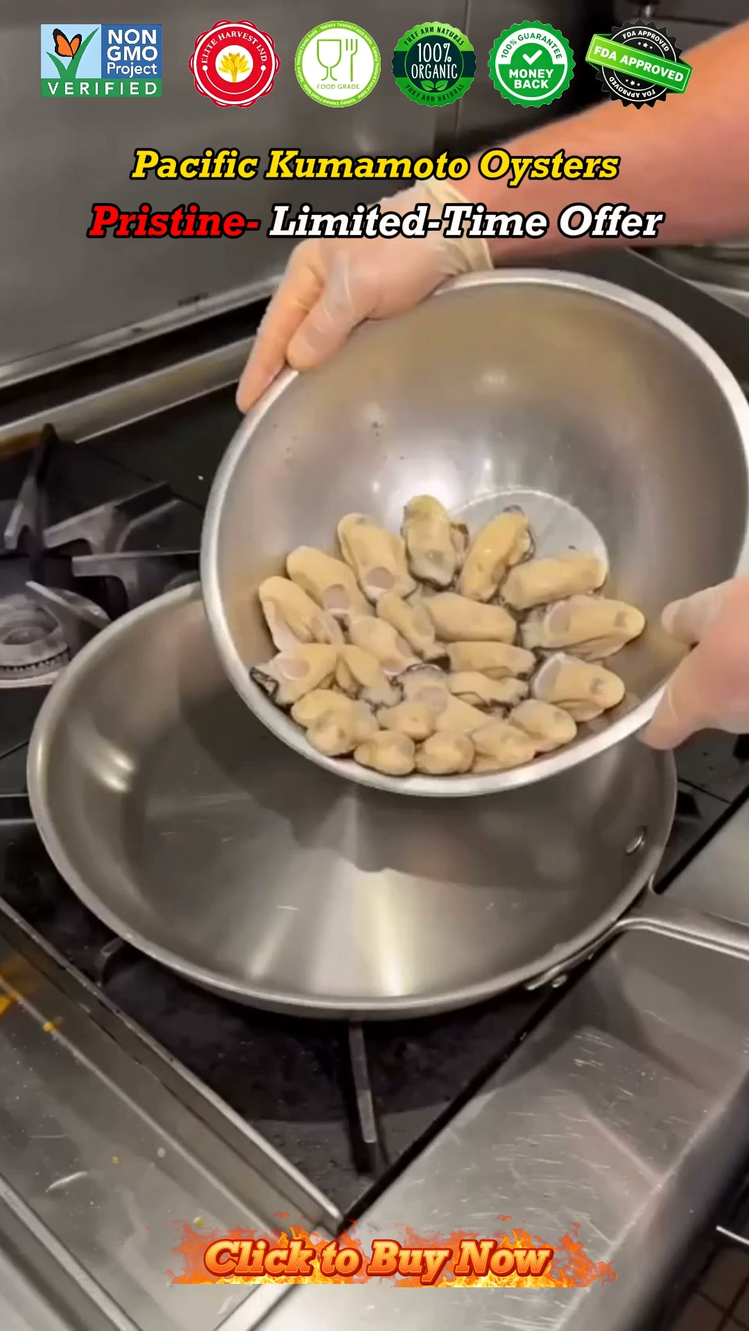 BIG·JUICY·TENDER PURE OYSTER PERFECTION!