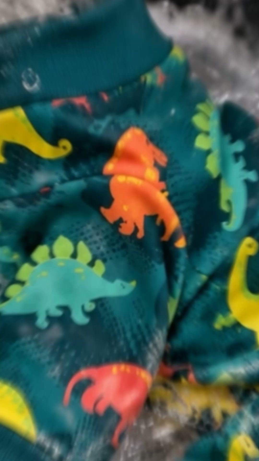 Worn by 2M+ Dogs