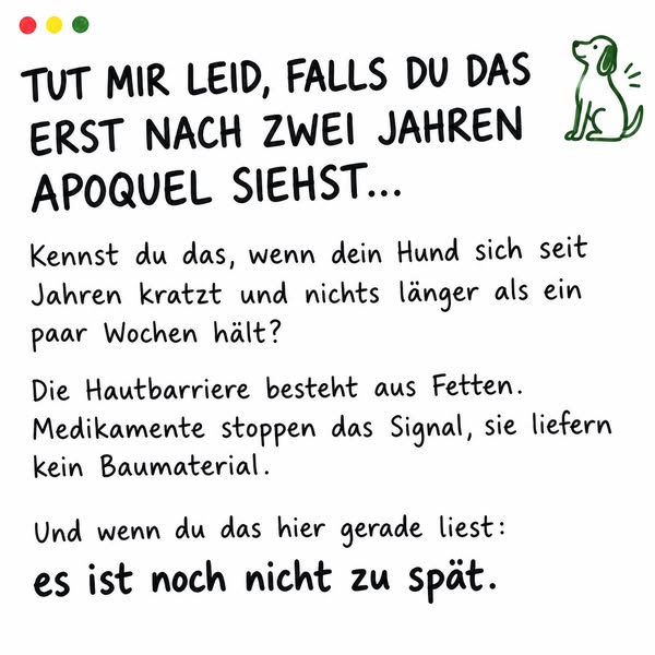 Der Juckreiz war nie das Problem.