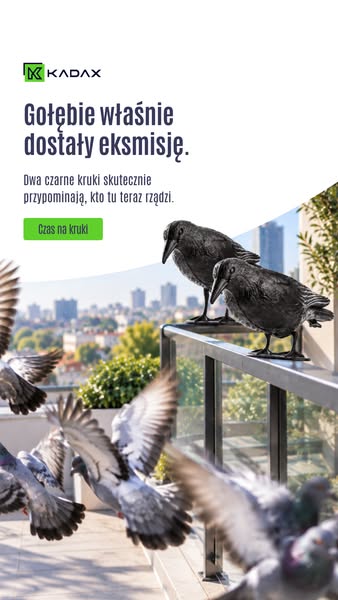 Ten kruk pilnuje Twojego rewiru.