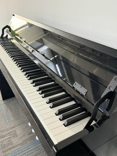 Claviers & pianos