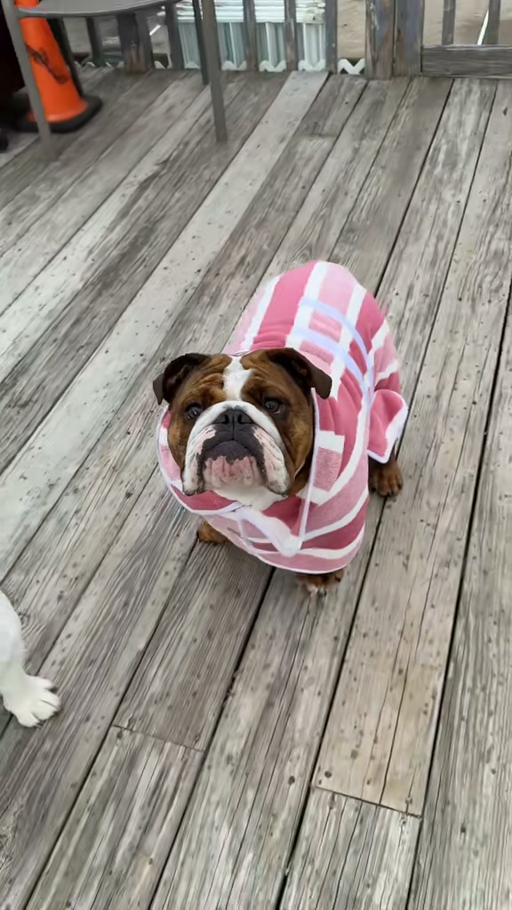 Bath time just got WAY easier