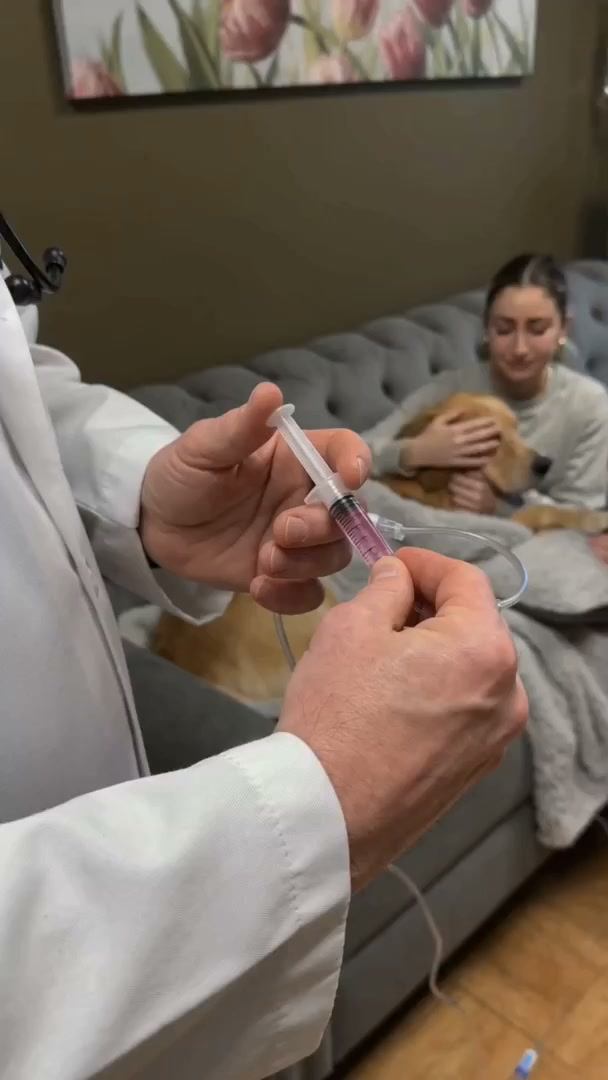 Your vet didn't tell you this about Apoquel