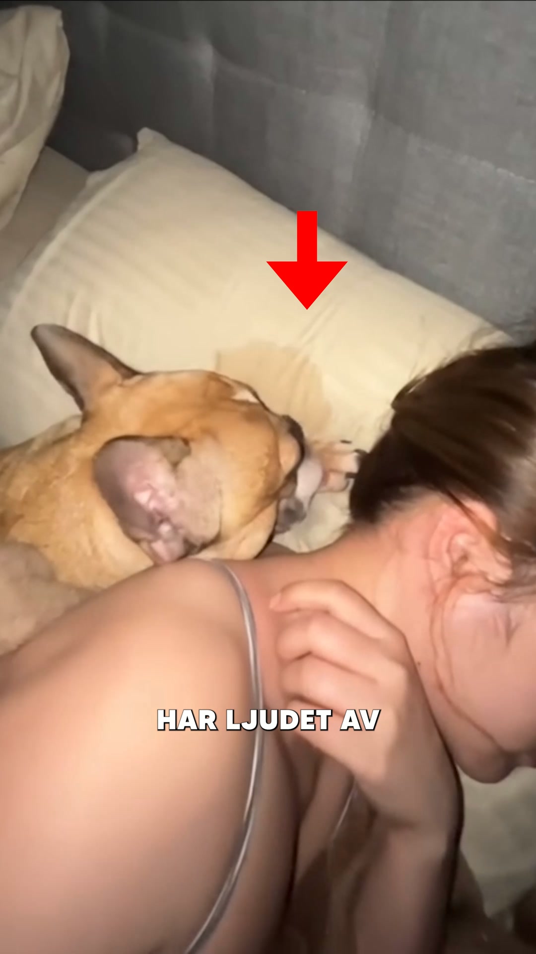 Om Du Känner Igen Några Av Dessa Tecken, Så Prova Dessa Effektiva Godbitar