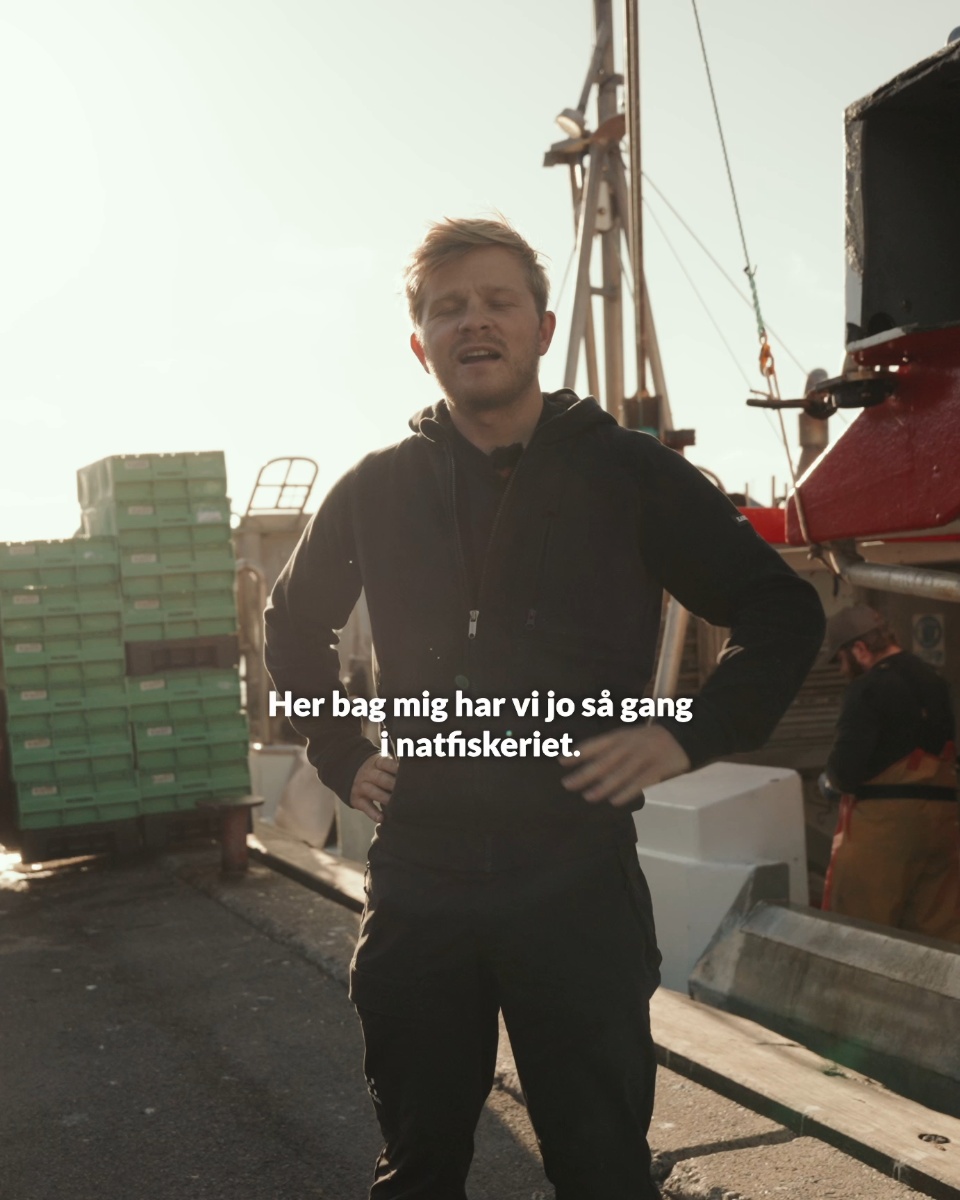 Bestil havfriske jomfruhummere
