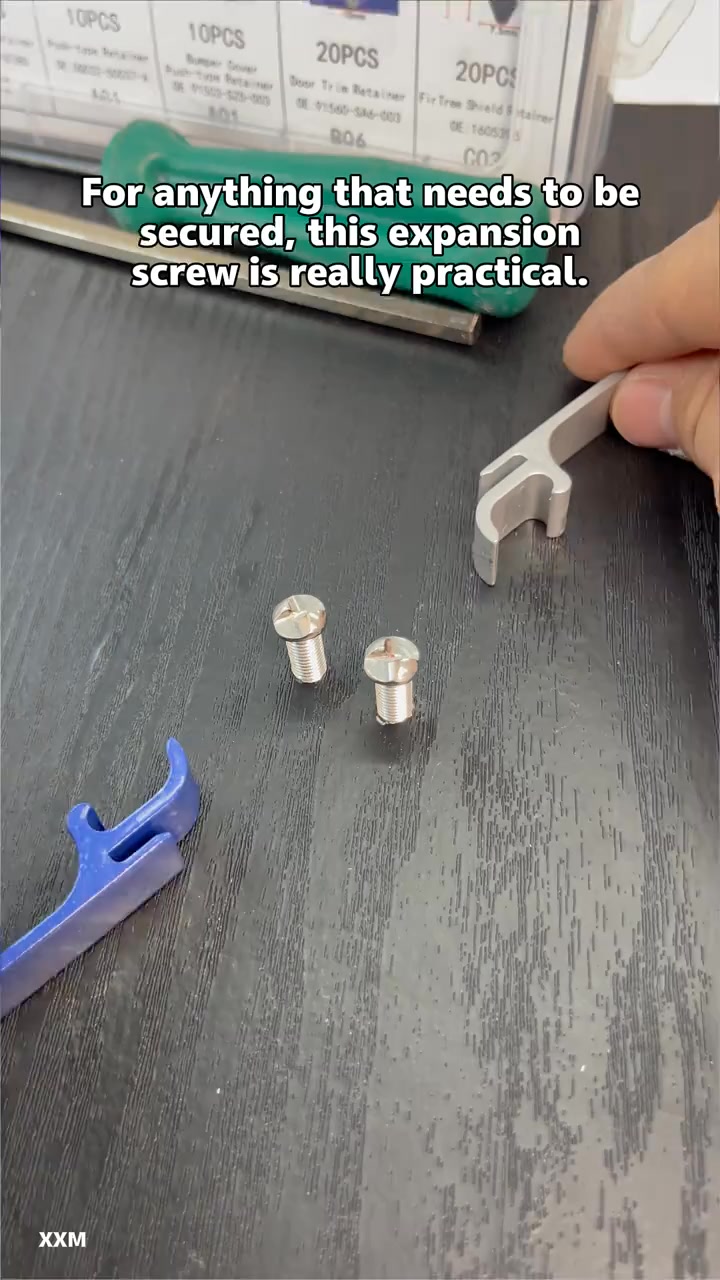 100pcs Universal Expansion Screw Clips Set