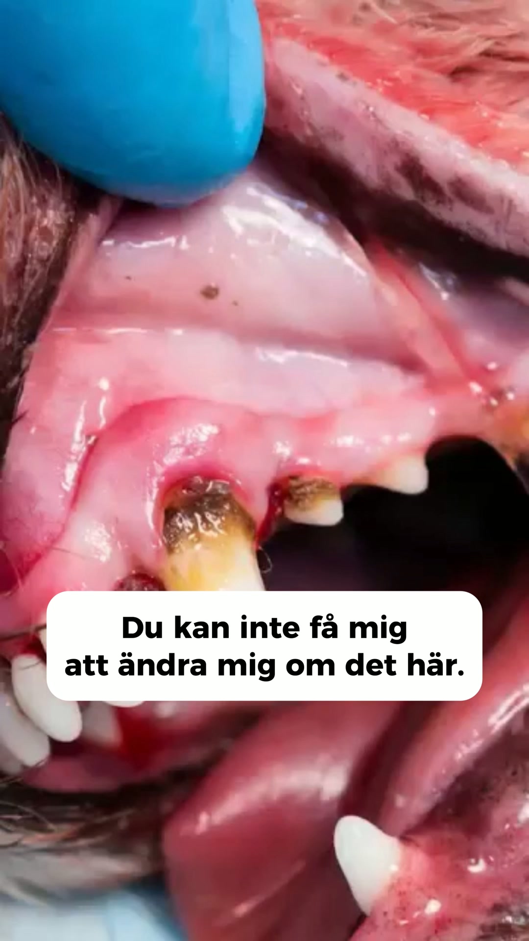 Betala senare med Klarna